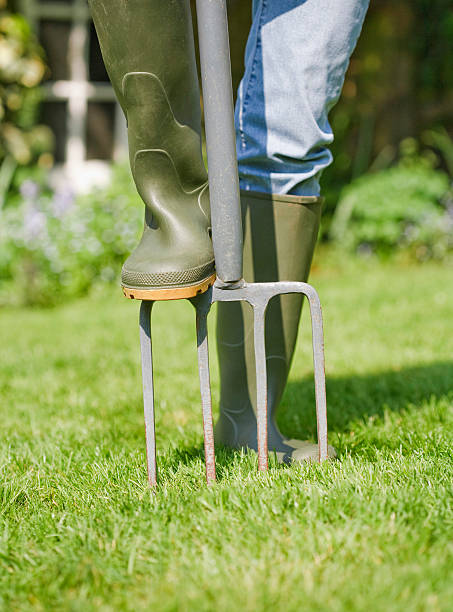 How to Avoid Back Pain While Aerating Your Lawn