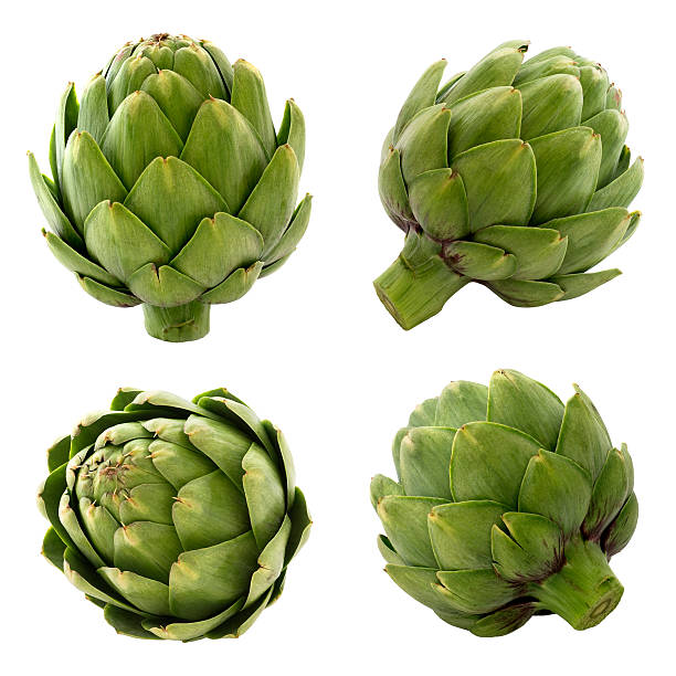 Exploring the Link Between Artichokes and Scoliosis