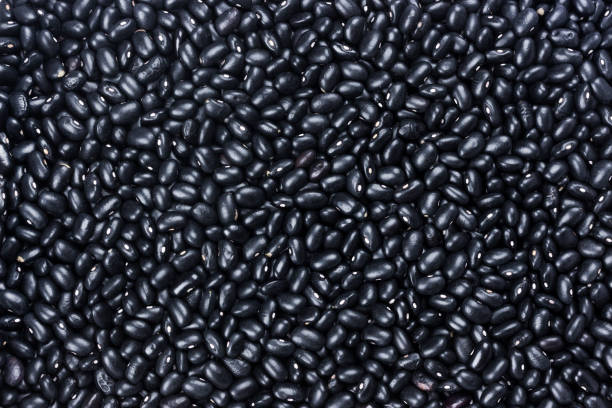 Exploring the Health Benefits of Black Beans for Scoliosis