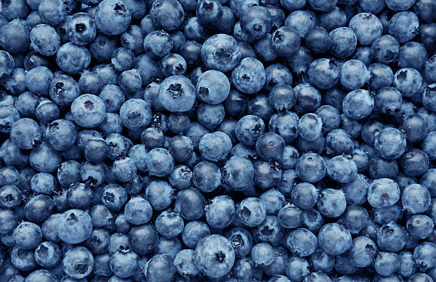 Blueberries and Scoliosis: Exploring the Health Benefits