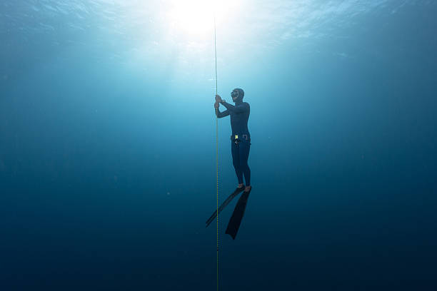 Managing Scoliosis for Freedivers: Tips and Insights