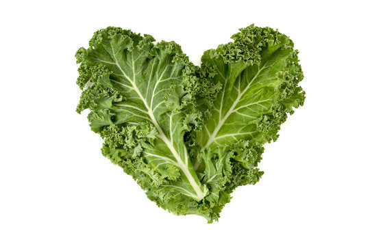 Unveiling the Health Benefits of Kale and Scoliosis