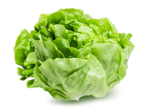 Exploring Lettuce Nutrition for Scoliosis Management