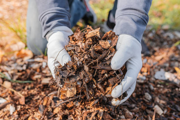 Mulch Your Lawn With Less Back Pain: Tips for a Healthy Spine