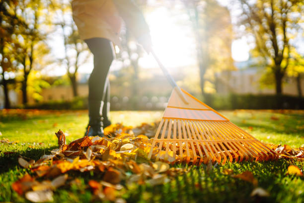 Raking Leaves: How to Avoid Back Pain for Scoliosis Patients