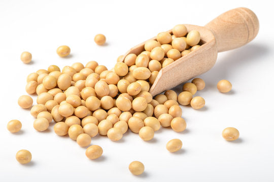 Scoliosis and Soybeans: A Guide for Scoliosis Patients