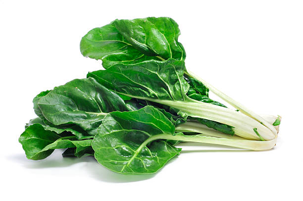 Swiss Chard: Benefits for Scoliosis Patients