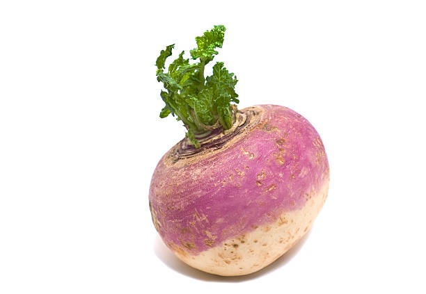 Exploring the Link Between Turnips and Scoliosis