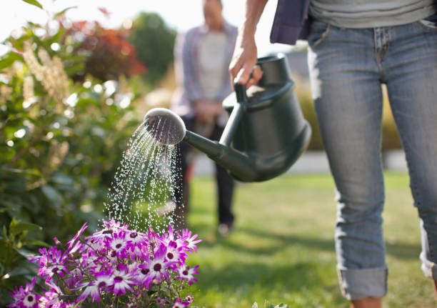 Prevent Back Pain While Watering Plants: Advice for Scoliosis Patients